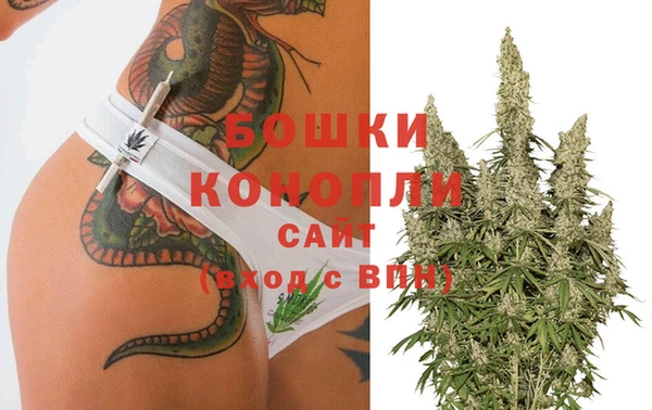 PSILOCYBIN Арсеньев
