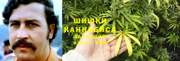 молекула духа Аркадак