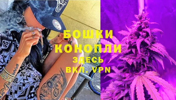 PSILOCYBIN Арсеньев