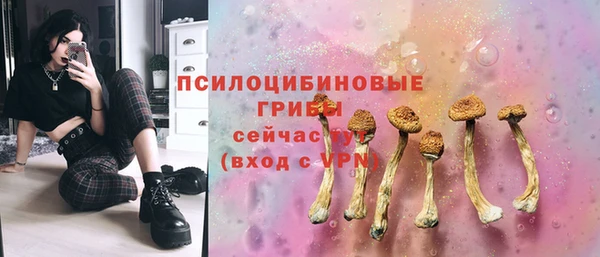 СК Армянск